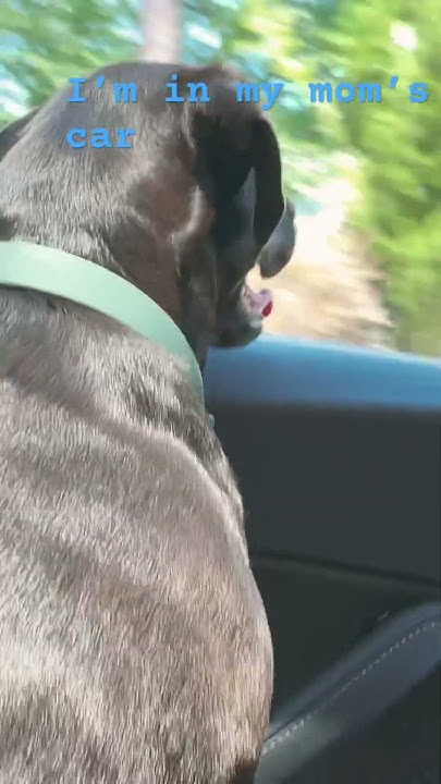 Im In My Moms Car Vroom Vroom I’m in my moms car vroom vroom - YouTube