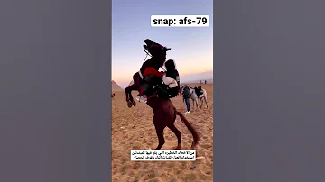 سقوط الخيال من الحصان 