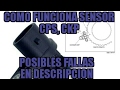 LO QUE NO SABES DEL SENSOR DE CIGUEÑAL, CPS, CKP FORMAS DE PROBAR.