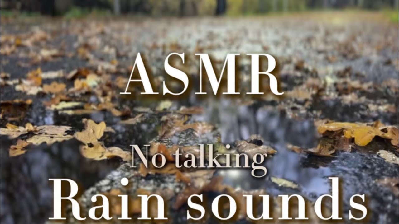 ASMR walking in the rain at night. В конце ролика Вас порадует лесной котик 🥰