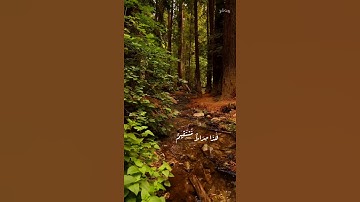 قرآن كريم بصوت الشيخ ياسر الدوسري :حالات واتس دينية (شهر القرآن)