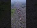 MotoGp naik ke puncak 🤣😂😂 #shorts #shortvideo #funny #funnyvideo #Ai #motogp