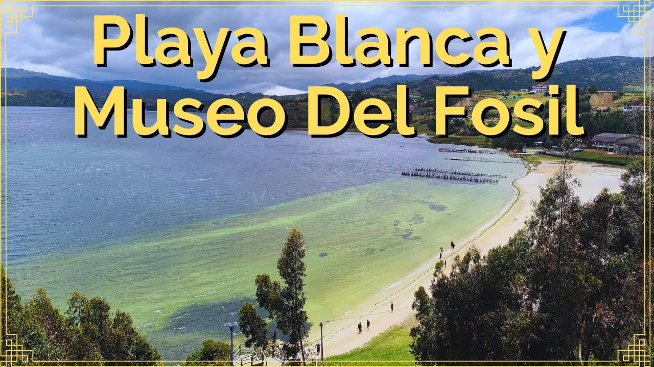 🏖️ Плайя Бланка - Бояка 2024 🏖️