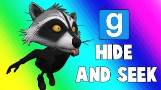 Gmod Hide and Seek  Racoon Bird! (Garry's Mod)