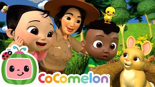 can we find duckling home cody friends sing cocomelon
