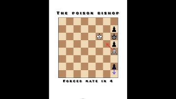 2023 | the poison bishop!!! Queen performance | forced mate in 4 💥🤯💥#chess #short #shorts #video