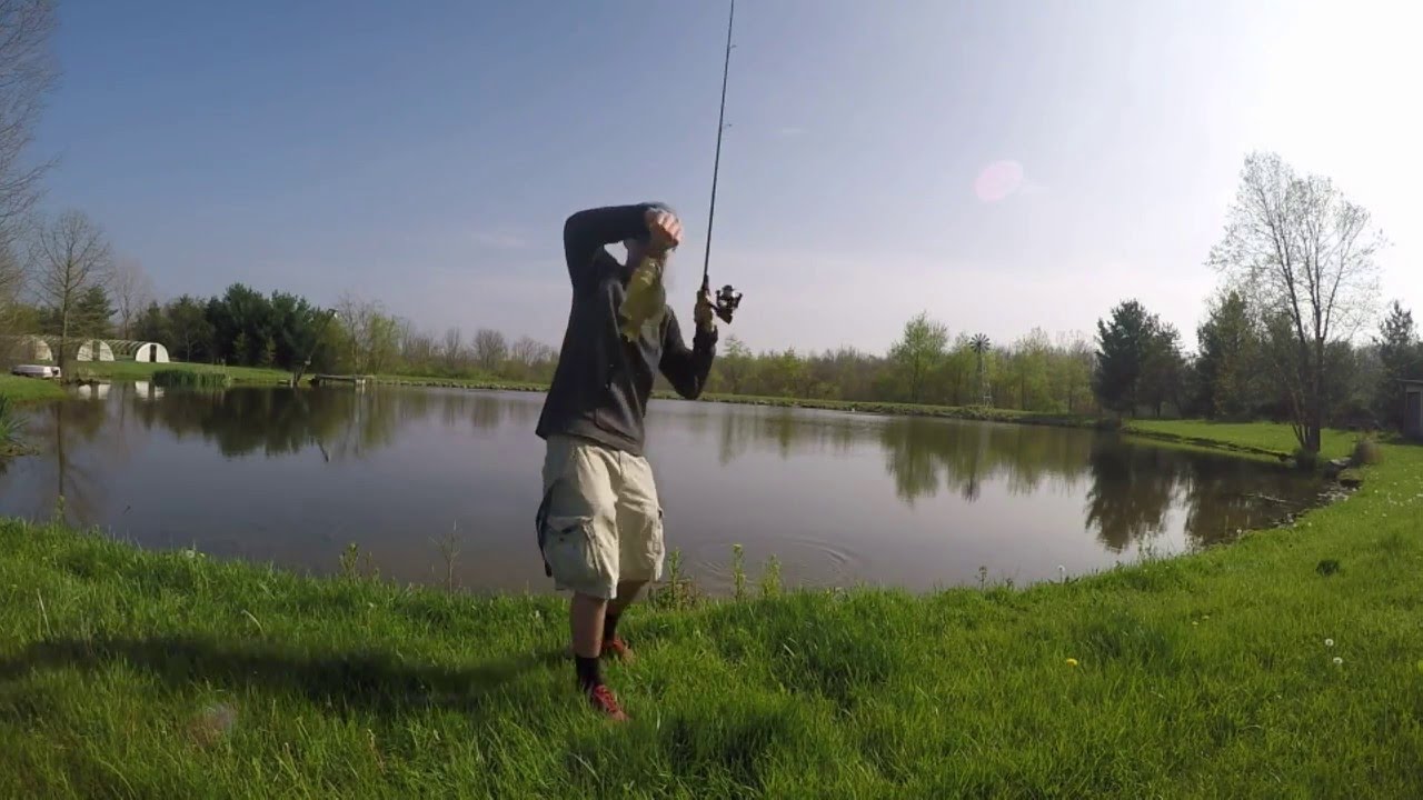 Shaky head pond bass fishing YouTube