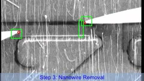 Nanowire FET biosensor rapid prototyping