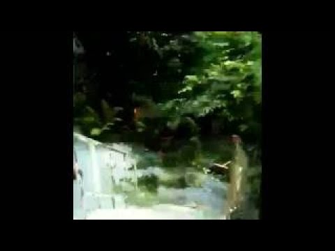 Remove Subconscious Blockages - Live Your Life To The Fullest | Subliminal Isochronic Tone
