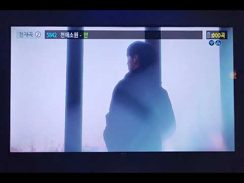 얀 - 천애소원(일반인 Cover)