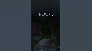 القارئ سعد الغامـدي سورة التين