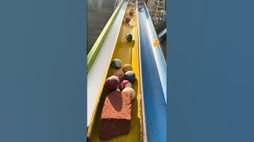 Marble Run ASMR⭐︎ Wooden x Rain Gutter Original Course #4