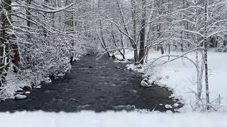 My Tn State Park 2020 - Roan Mountain