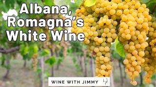 Exploring Albana DOCG: Romagna's White Wine Wonder!