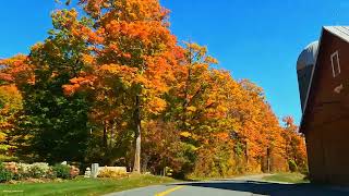: Scenic Drive With Peak Autumn Foliage In Vermont