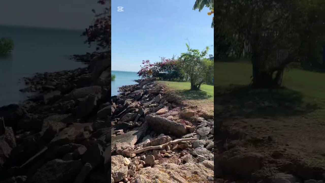 Darwin ❤️🇦🇺  