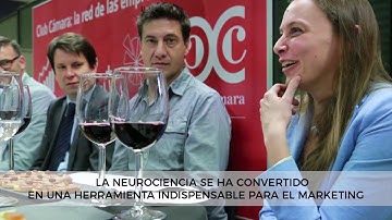 Resumen Vermú de redacción Bit Brain