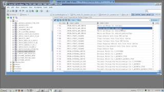 Mdm Stored Procedures