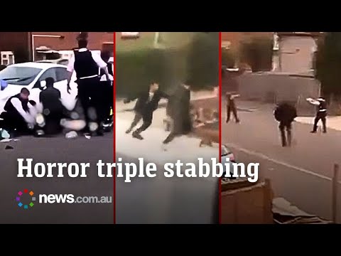 London dog walker killed as Afghan asylum seeker arrested over triple stabbing