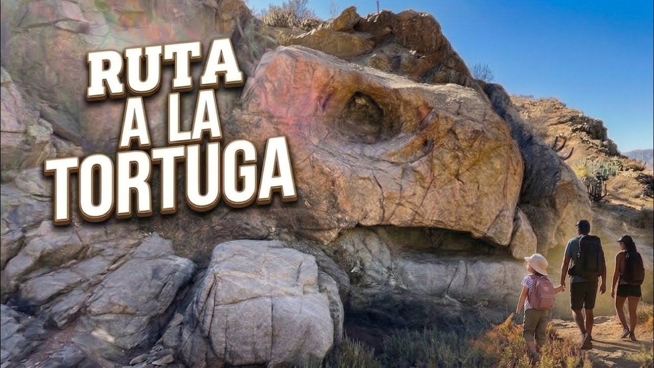 Piedra de la Tortuga 🐢| Freirina, Atacama