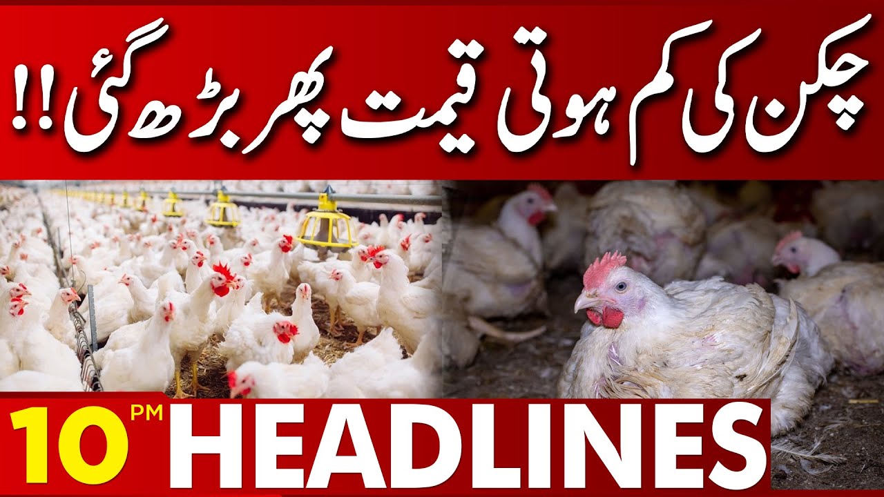 Chicken Price Increase 10 00 PM News Headlines 31 July 2023 chicken-price-reduces-12-00-pm-news-headlines-05-march-2023