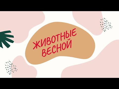 Животные весной. Развивающее видео для детей