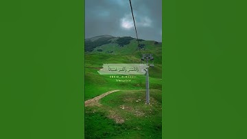 ﴿إِنَّ اللَّهَ فالِقُ الحَبِّ وَالنَّوى ..﴾سورة الانعام | بصوت| عبيد المقاطي