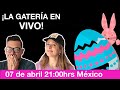 ¡LA GATERÍA EN VIVO!