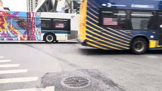MTA Bx11 XD40 at George Washington Bridge Bus Terminal