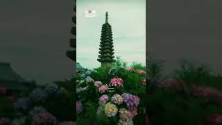 Hannya Temple, Nara 🌸⛩️