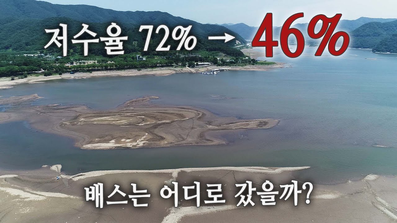 댐에 물이 빠지면 배스는 어디로 갈까?_[배스PD수첩_07 장성호46%]