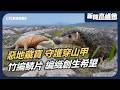 揭密台南 惡地 竟是穿山甲方舟 超萌盔甲精靈遭浪犬圍攻慘斷肢 直擊急救站獸醫如何 灌食 帶散步 助重返山林 新聞高峰會 在地韌性共生路 華視新聞 20260405 穿山甲 月世界 生態保育 遊蕩犬 