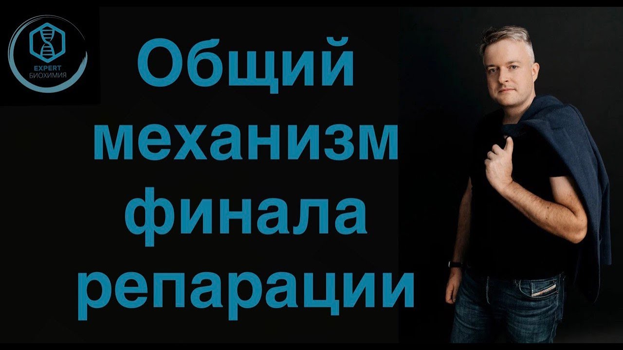 Общий механизм финала репарации.