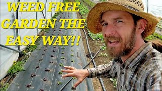 Weed Free Market Garden  [How to use landscape fabric for a weed free garden]