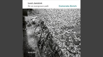 Janáček: On an Overgrown Path, JW VIII/17 (Arr. Rumler for String Orchestra) , Book 1: IV. The...