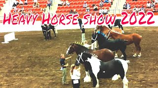 Stampede: Heavy Horse Show 2022