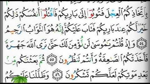 مصحف التجويد المرتل الصفحة 8 إبراهيم الأخضر