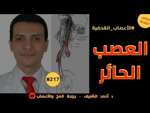 العصب الحائر د أحمد الشريف 217