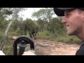 K&C Safari in Kruger Park- Elephant Charging the Jeep