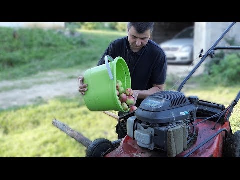 Видео: Гурање тиквица