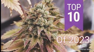 S6 Episode 7 Top 10 Strains of 2023