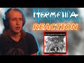 HERMETICA - Otro Dia Para Ser | REACTION / REVIEW