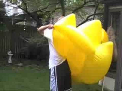 Attack of the Giant Duck