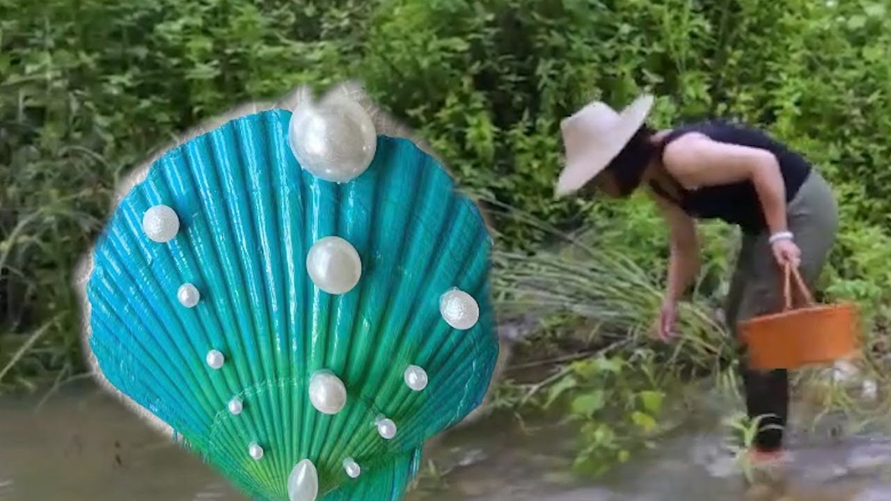 Outdoor handmade pearl picking technique, beautiful pearls are ...
