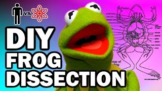 DIY DISSECTION  Man Vs Science #7