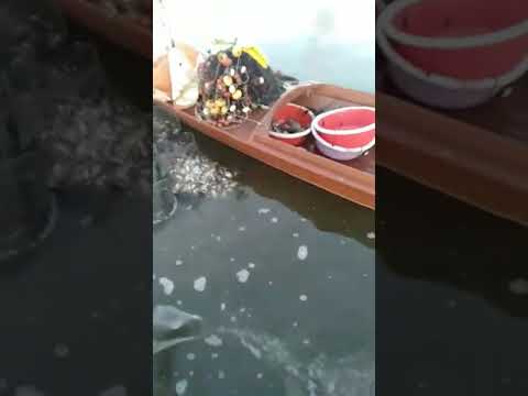 الصيد الجائر في بحيرة ادكو