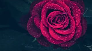 Sufi Müzik Ile Zihin Açma Ney Ve Yağmur Sesi Ders Çalışma Ve Kitap Okuma Için Ney Müziği