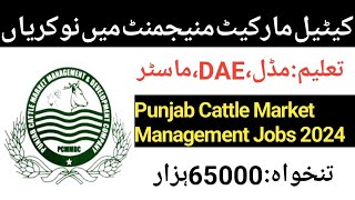 New Punjab Cattle Market Management and Development Company Govt Jobs 2024/New Govt Jobs 2024