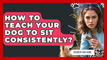 How To Teach Your Dog To Sit Consistently? - Obedient Dog Guide
