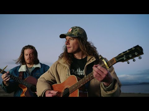 The VANNS -